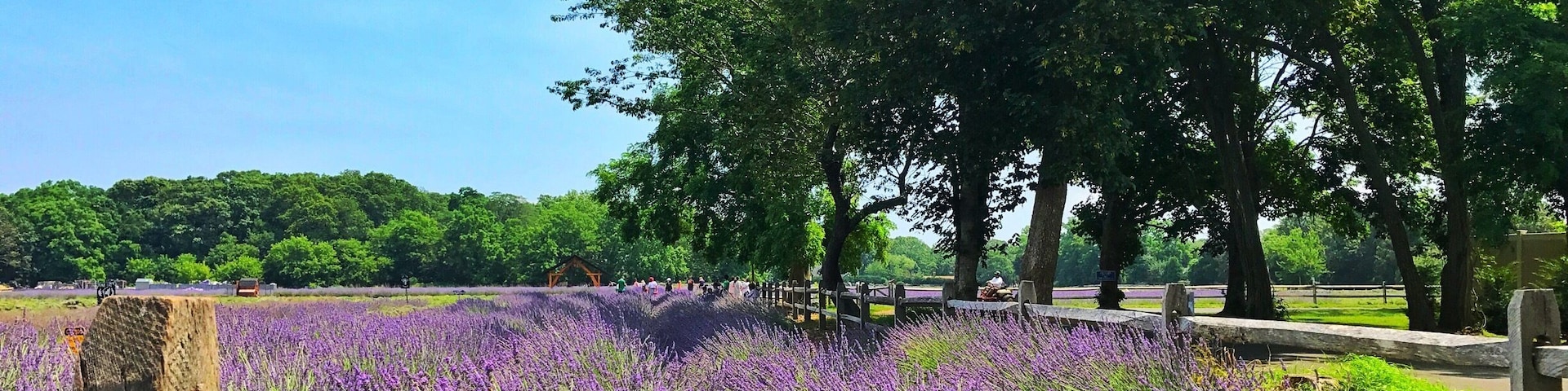 Always a favorite stop when visiting the Hampton's The smell is amazing 😍