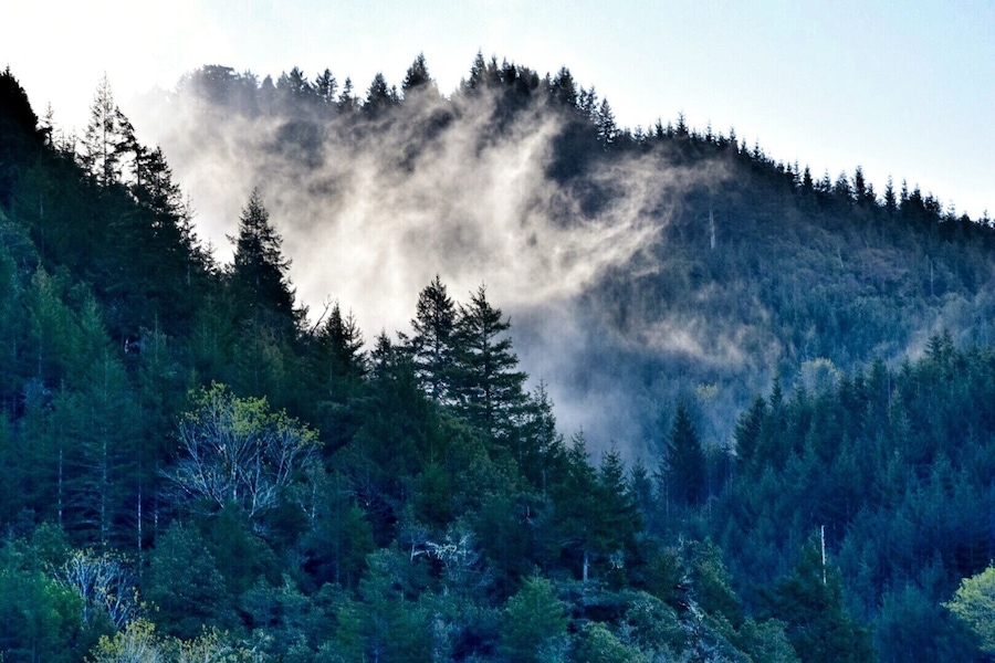 Great place to salmon fish! #oregoncoast