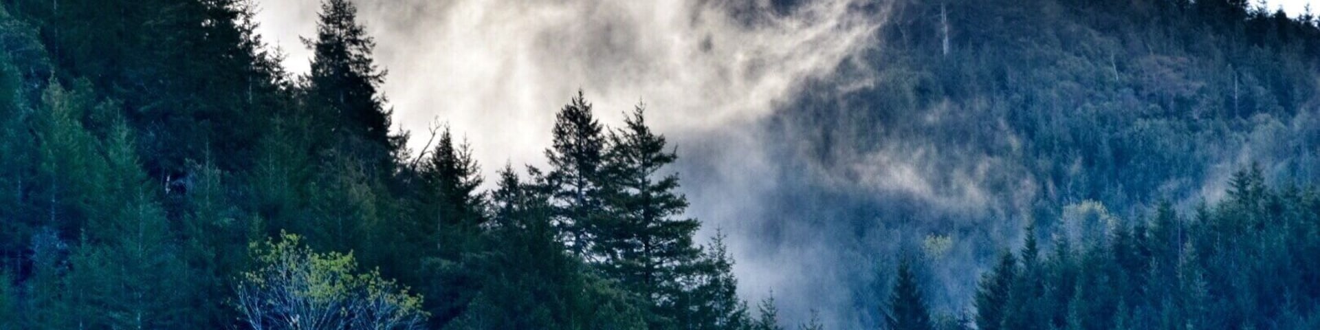 Great place to salmon fish! #oregoncoast