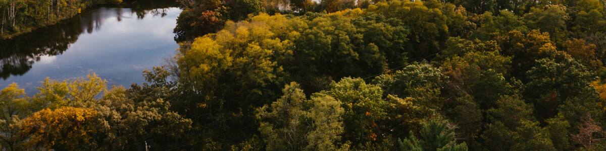 Drone photograph of gorgeous lake with forest of fall trees