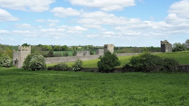 Kells Priory (in Irish : Prióireacht Cheanannais) is an Augustine priory in county Kilkenny, in Ireland. It is one of the largest medieval monuments in Ireland.