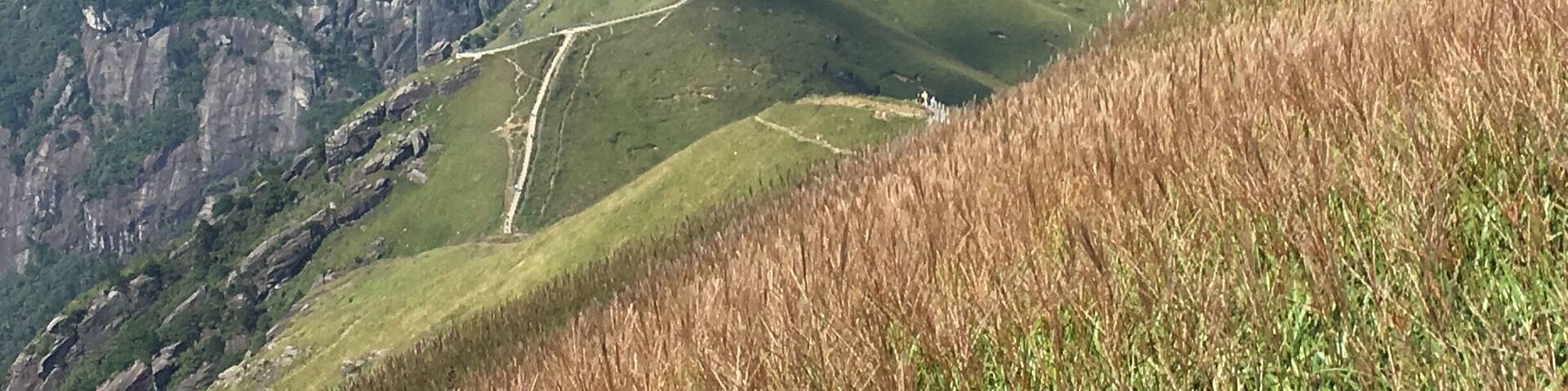 Trekking up to the Wugongshan, China and see the trekking lines leading from peaks to peaks. #China #travel #nature
#mountainscape