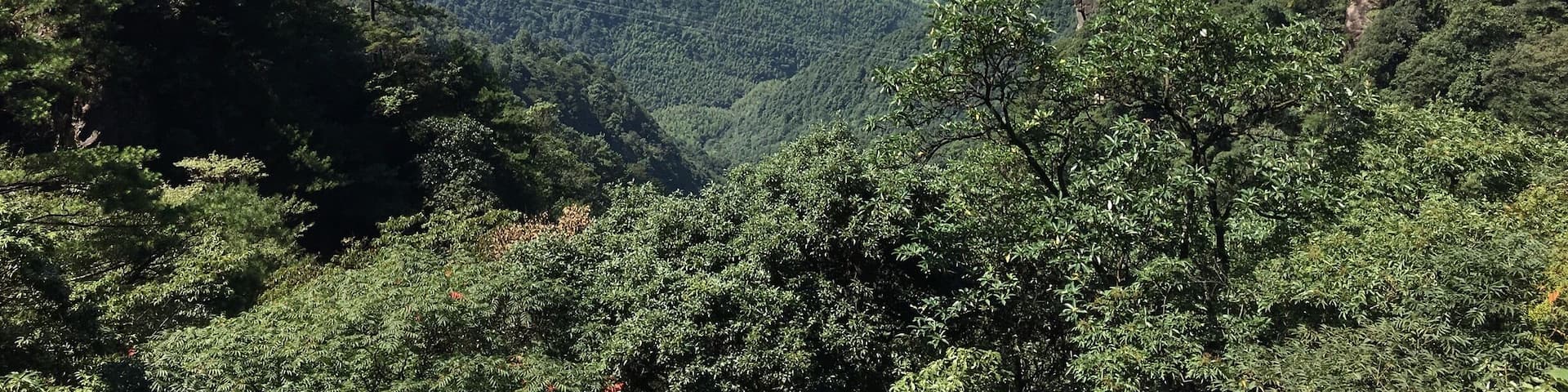 The valley of the Wugongshan where the locals makes their homes in the rich earth # Wugongshan # china # travel #mountsinscape #nature