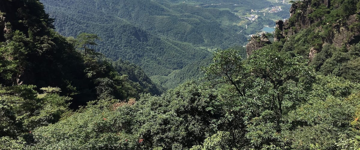 A mountainous landscape with dense forests, a valley, and a distant town.