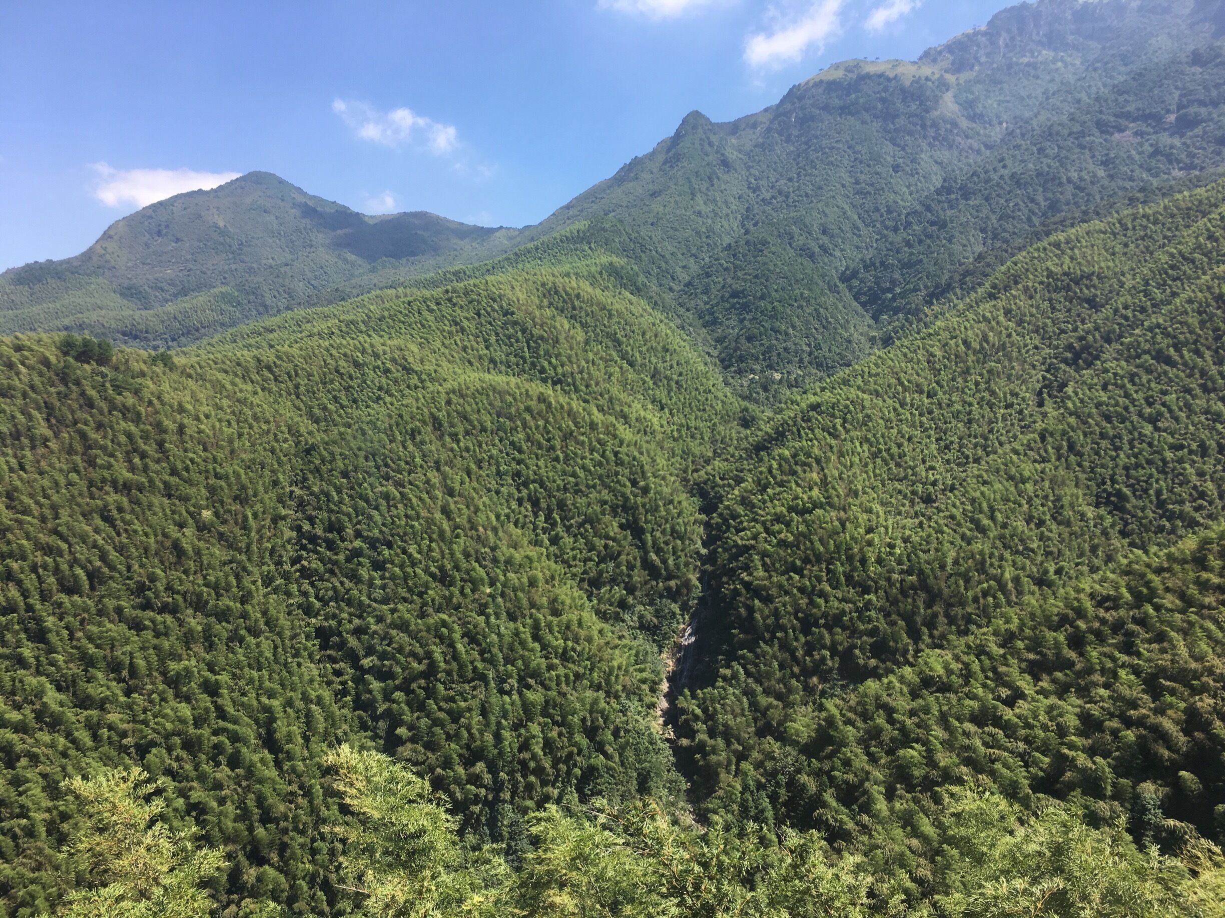 Awe and inspiring Wugongshan- a great trek up to the mountains, there is cable cars to help shorten the trekking to reach the highest peak of the  mountains 
#Wugongshan #china #travel # nature # landscape 