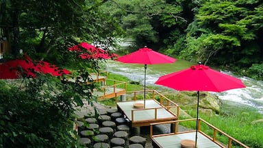 Un jardín japonés tradicional con escalones de piedra, bancos de madera y sombrillas rojas.