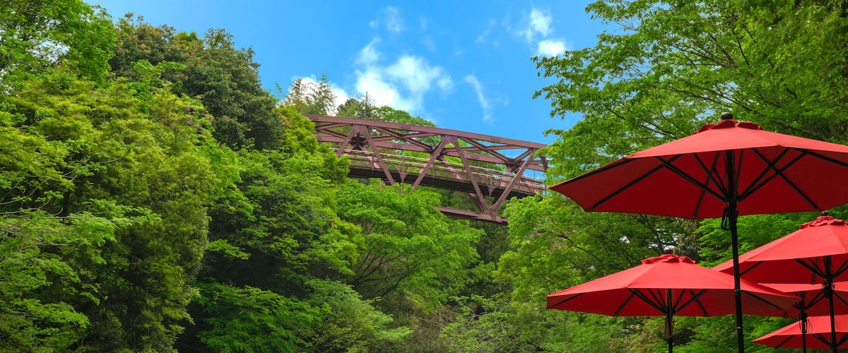Kakusenkei in Kaga City, Ishikawa, Japan. Ayatori Bridge, Valley and a riverside restaurant. 鶴仙渓。石川県加賀市山中温泉。あやとり橋と渓谷と川床。