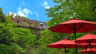 Kakusenkei in Kaga City, Ishikawa, Japan. Ayatori Bridge, Valley and a riverside restaurant. 鶴仙渓。石川県加賀市山中温泉。あやとり橋と渓谷と川床。