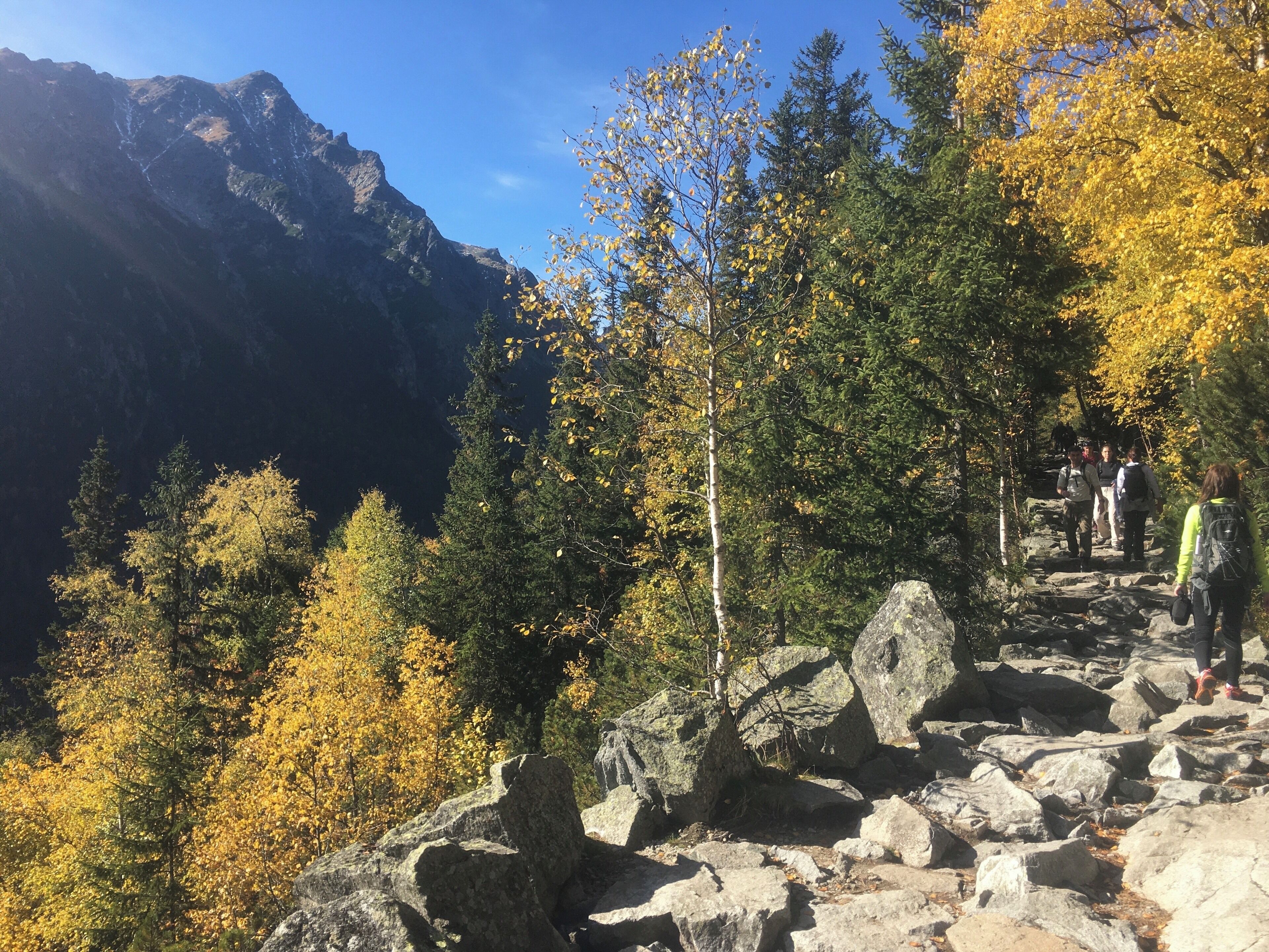 A rocky mountain trail with autumn foliage and a clear sky.