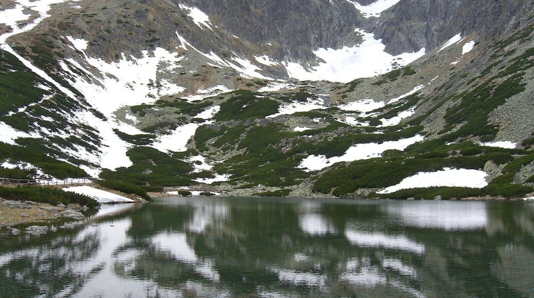 This is a lake at Skalnate Pleso, which is situated 1751 metres up a mountain in the High Tatras, Slovakia.
#WinterWonders