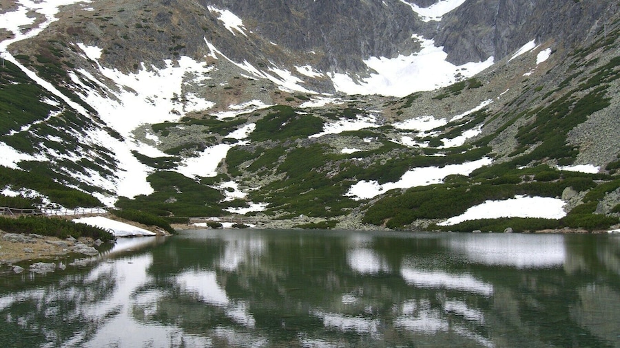 This is a lake at Skalnate Pleso, which is situated 1751 metres up a mountain in the High Tatras, Slovakia.
#WinterWonders