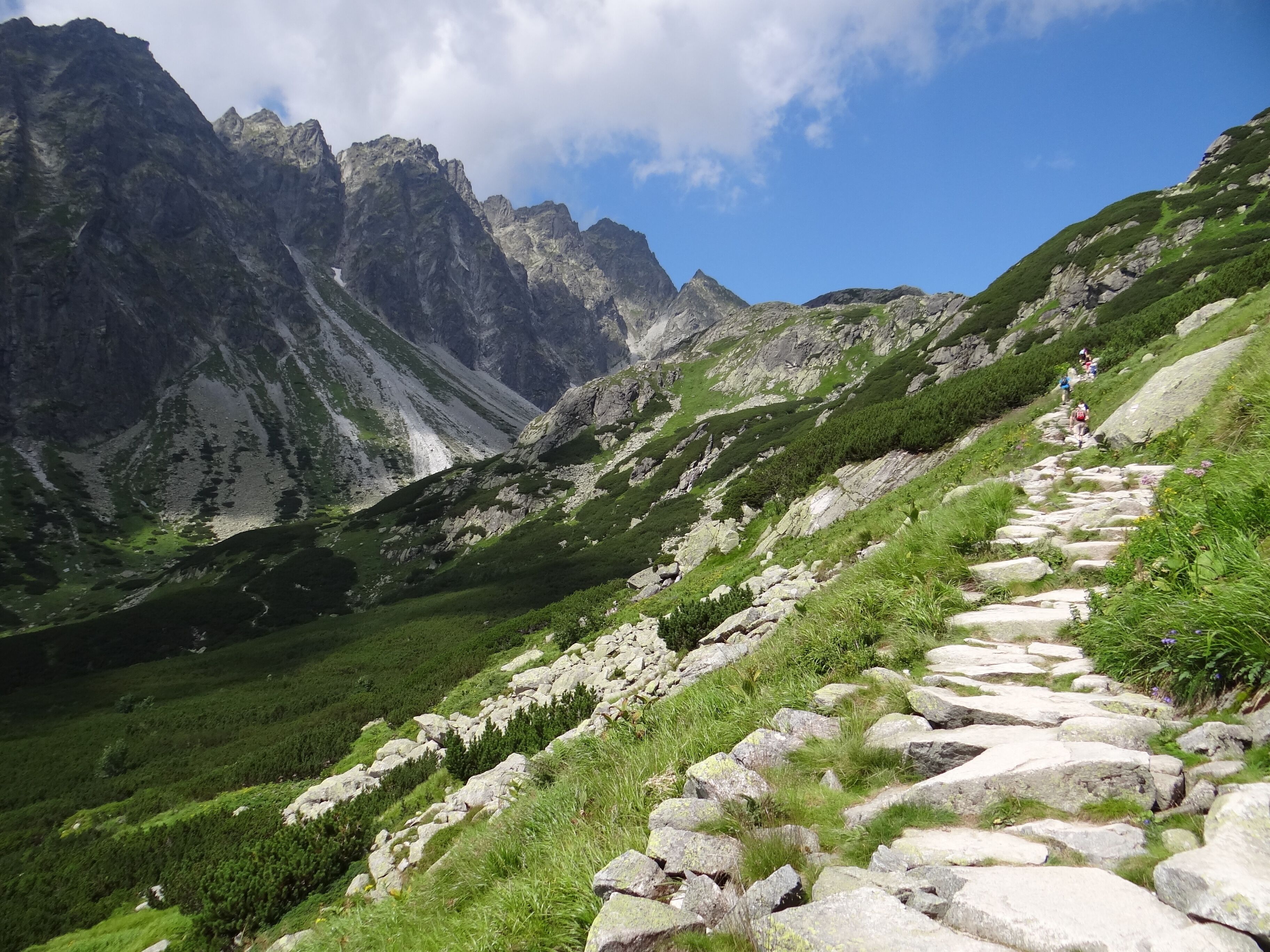 A mountain trail with rocky steps and lush greenery.