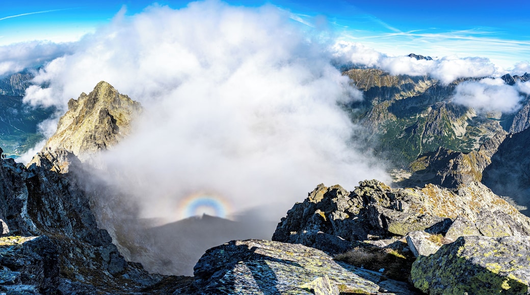 This is the view from the summit of Rysy, highes mountain in Poland.
The little shadow in the center of the rainbow is me sitting on the peak of the mountain, taking the photograph.
Fun fact: Rysy is located at the border between Slovakia and Poland. It has three peaks and is about 3m higher in Slovakia than it is in Poland.
#Adventure