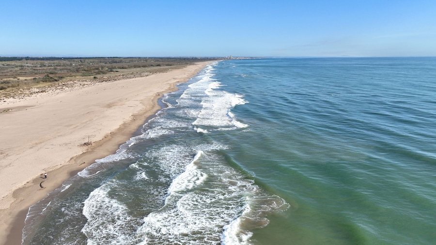 A sandy beach with waves crashing onto the shore, a clear sky, and a distant city skyline.