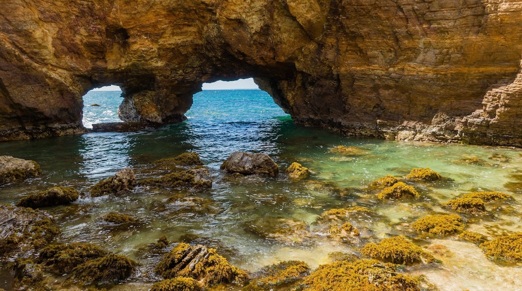 Saint Martin featuring rocky coastline