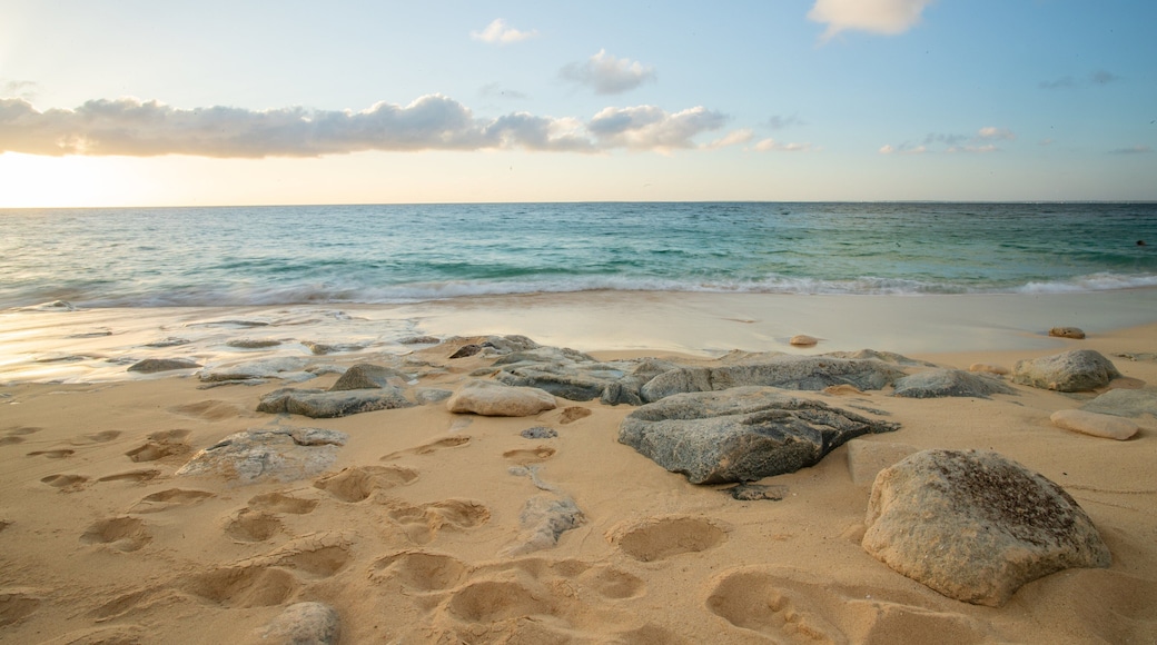 Saint Martin showing a beach, a sunset and general coastal views