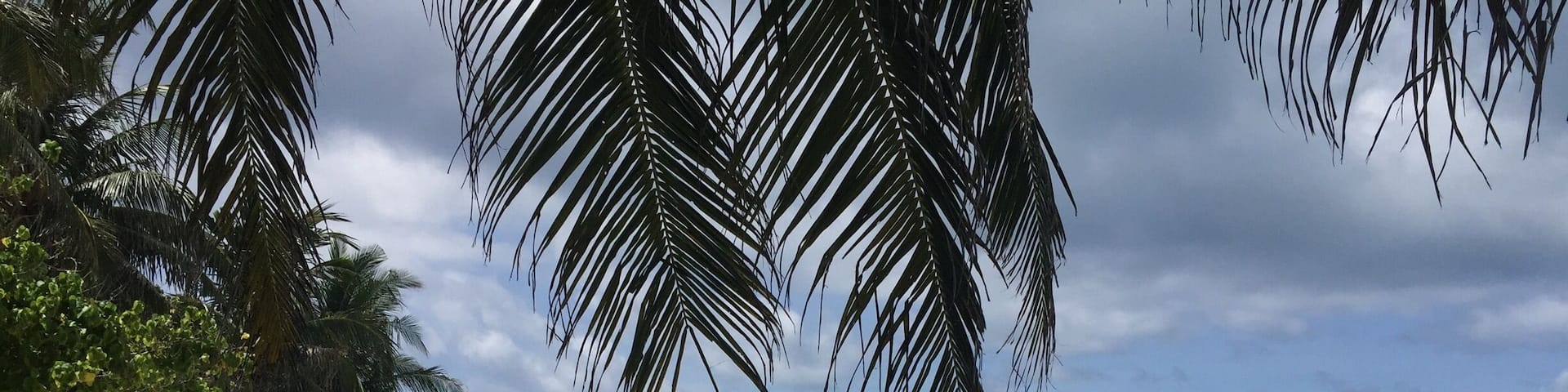 Amazing blue water at 30 degrees. We have seen eagle rays just snorkeling here, very quiet and peaceful place, and so beautiful...
#beachbound