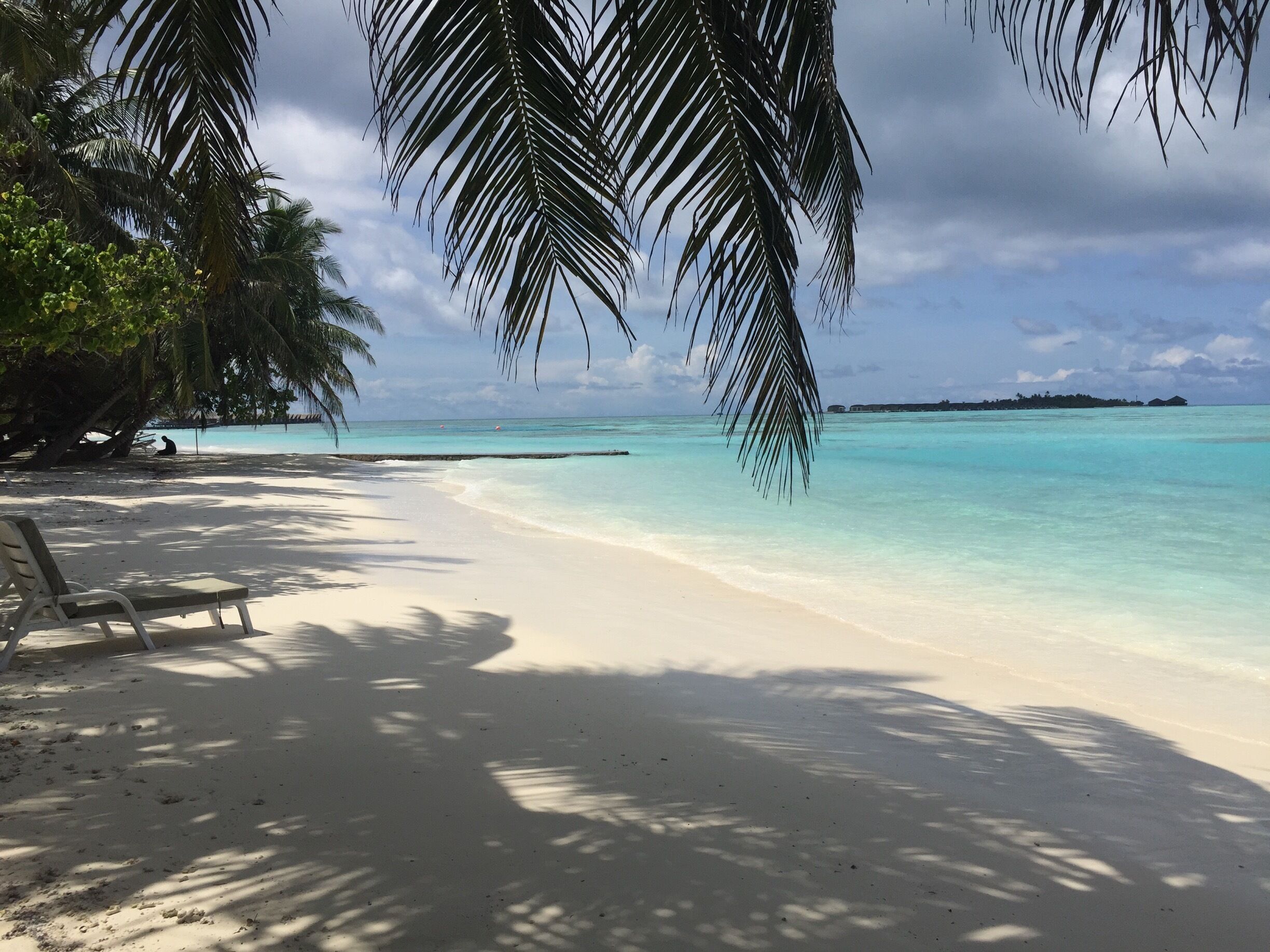 A beach with white sand, turquoise water, and palm trees.