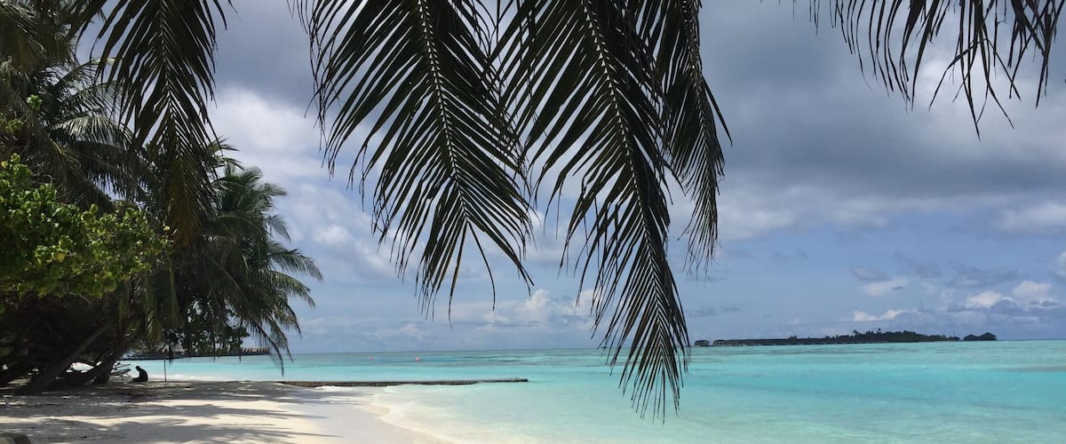 A beach with white sand, turquoise water, and palm trees.
