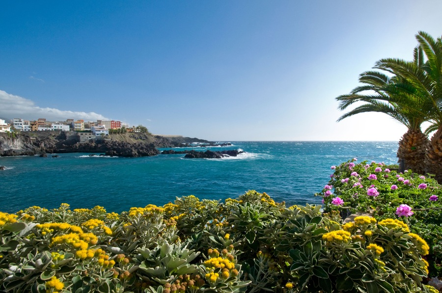A picturesque floral sea wall in Alcala on the coast of Guia de Isora in southern Tenerife Canary Islands Spain. Image shot 03/2009. Exact date unknown.