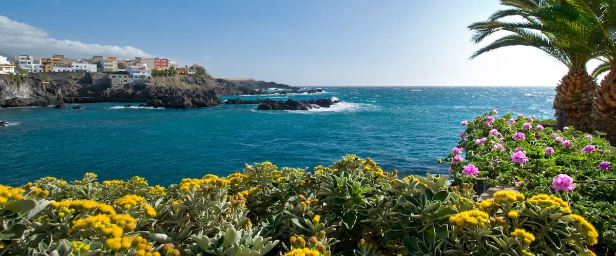 A coastal landscape with a rocky shoreline, a clear blue sea, and a variety of colorful flowers in the foreground.