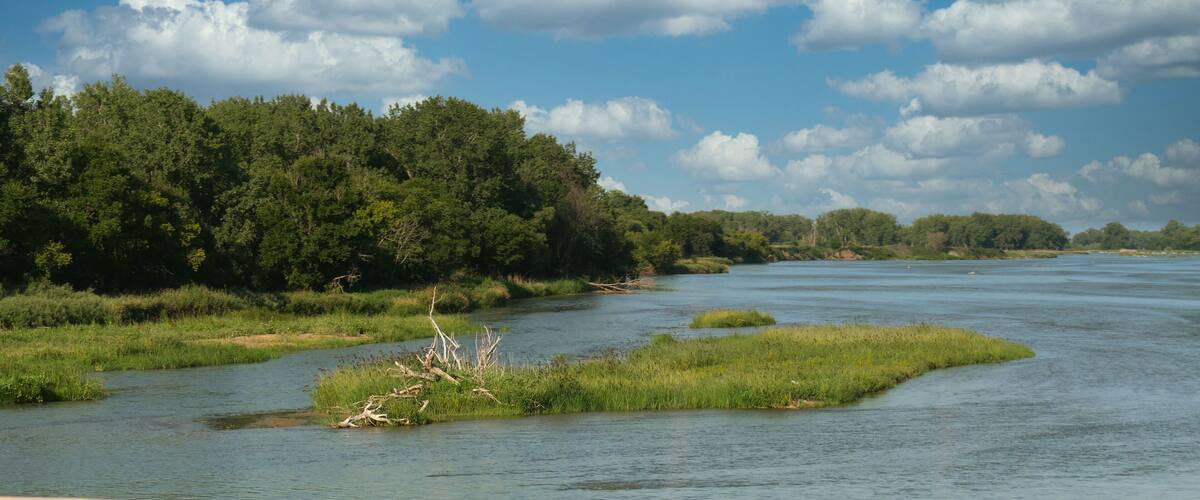A river with grassy banks and a forested area in the background.