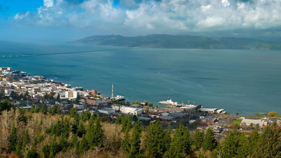 A coastal city with a prominent bridge, dense urban area, and surrounding forested hills.