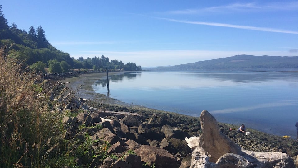 A calm lake with rocky shores, dense forest on the left, and distant hills.