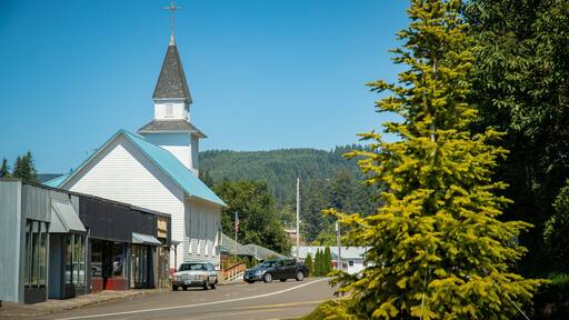 Bay City showing a small town or village and a church or cathedral
