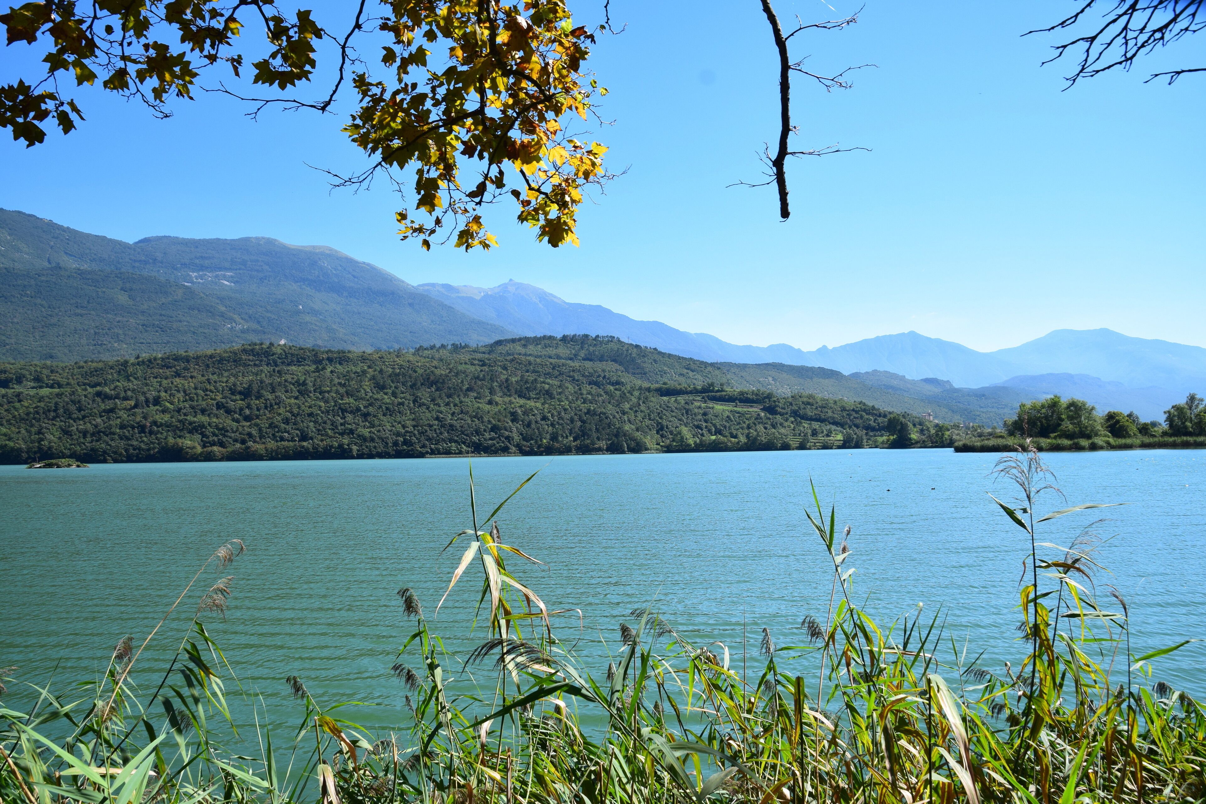 Biotopo Lago di Toblino (Q47517151)