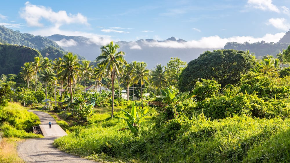 Volcanic hills, mountains, valleys, volcano mouth of beautiful green lush Ovalau island overgrown with palms, lost in jungle, covered with clouds, home of Levuka town. Fiji, Melanesia, Oceania
