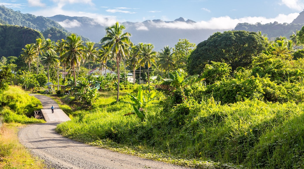 Volcanic hills, mountains, valleys, volcano mouth of beautiful green lush Ovalau island overgrown with palms, lost in jungle, covered with clouds, home of Levuka town. Fiji, Melanesia, Oceania