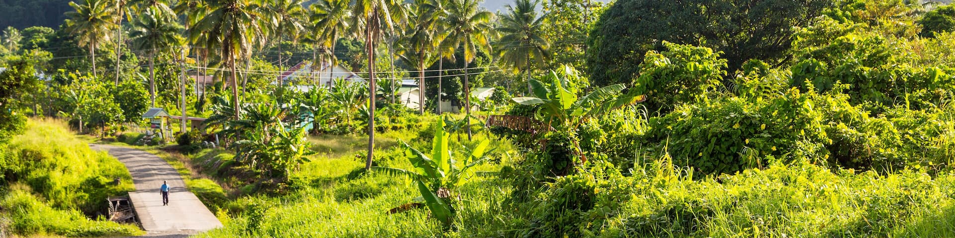 Volcanic hills, mountains, valleys, volcano mouth of beautiful green lush Ovalau island overgrown with palms, lost in jungle, covered with clouds, home of Levuka town. Fiji, Melanesia, Oceania