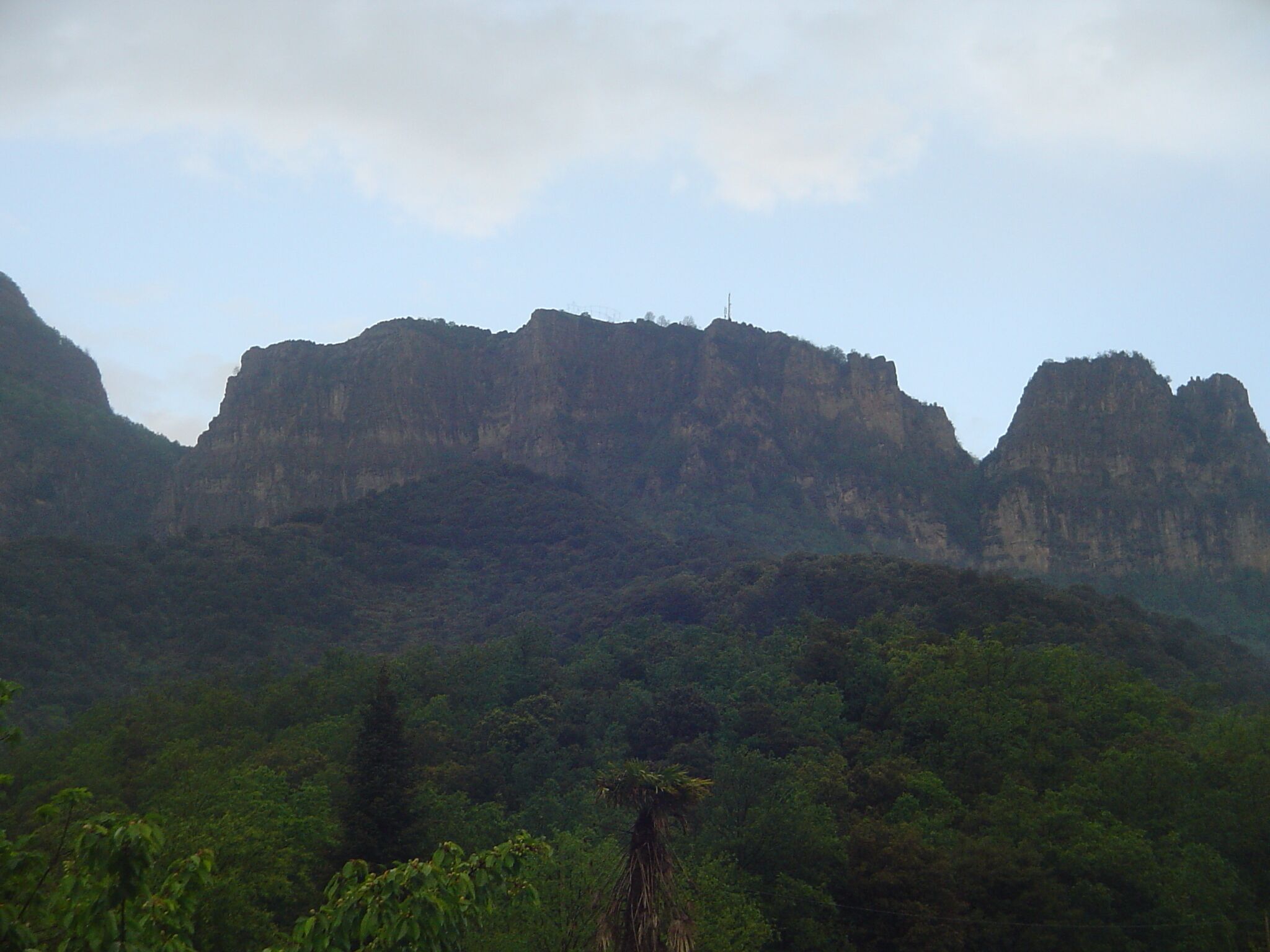 A mountainous landscape with dense forest.