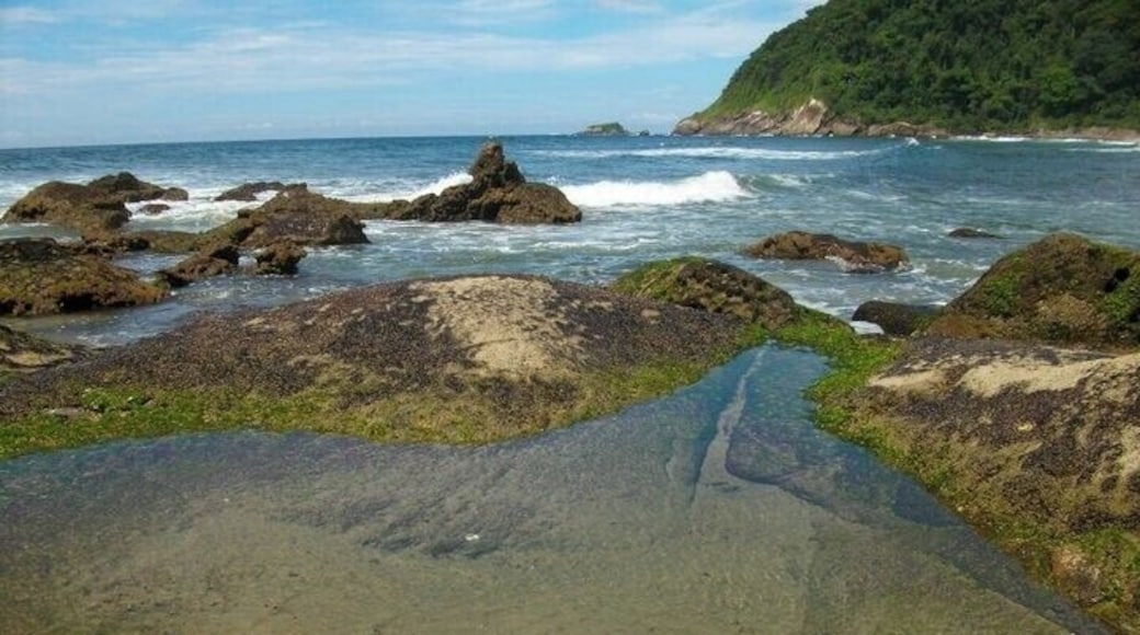 Mountain, rocks, trees and ocean - the perfect combination at the perfect beach :)
#lifeatexpedia #brazil #brasil #jureia #beach #nature