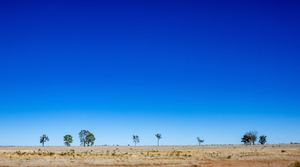 Outback Queensland landscape with blue sky and some trees with dry land. Taken near Blackall, Queensland Australia.
