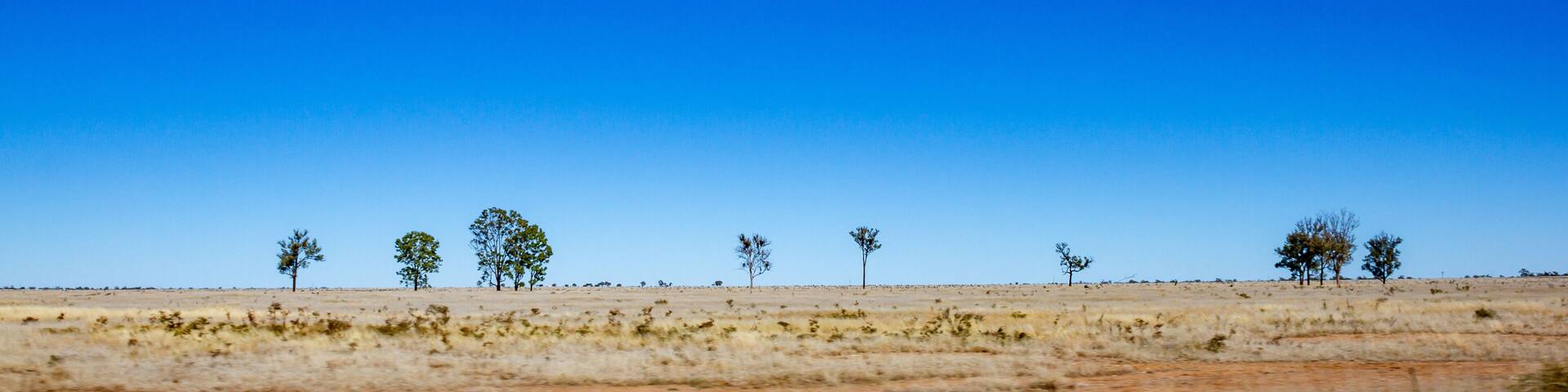 Outback Queensland landscape with blue sky and some trees with dry land. Taken near Blackall, Queensland Australia.
