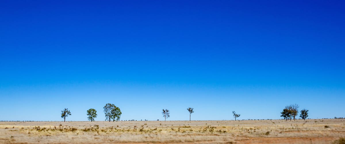 A flat, arid landscape with sparse trees under a clear blue sky.