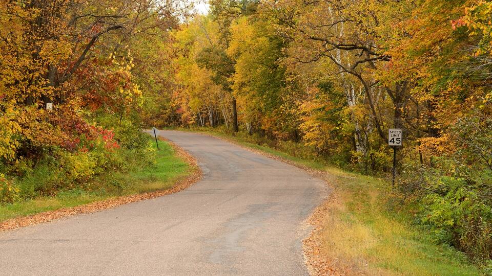 A winding road through a forest with autumn foliage.
