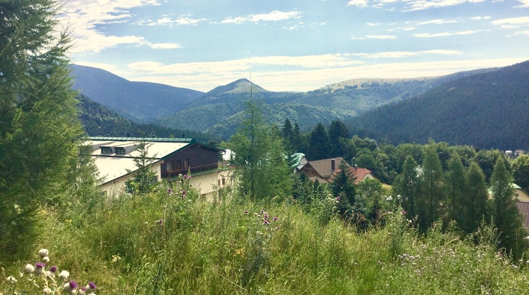 Slopes over looking Limba hotel, Donovaly 2017.