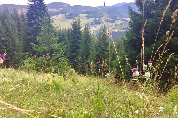 From the slopes of Zvolen (Veľká Fatra mountain range - Summit. 4600 ft / 1402 m), Lower Tatras, Central Slovakia 2017.