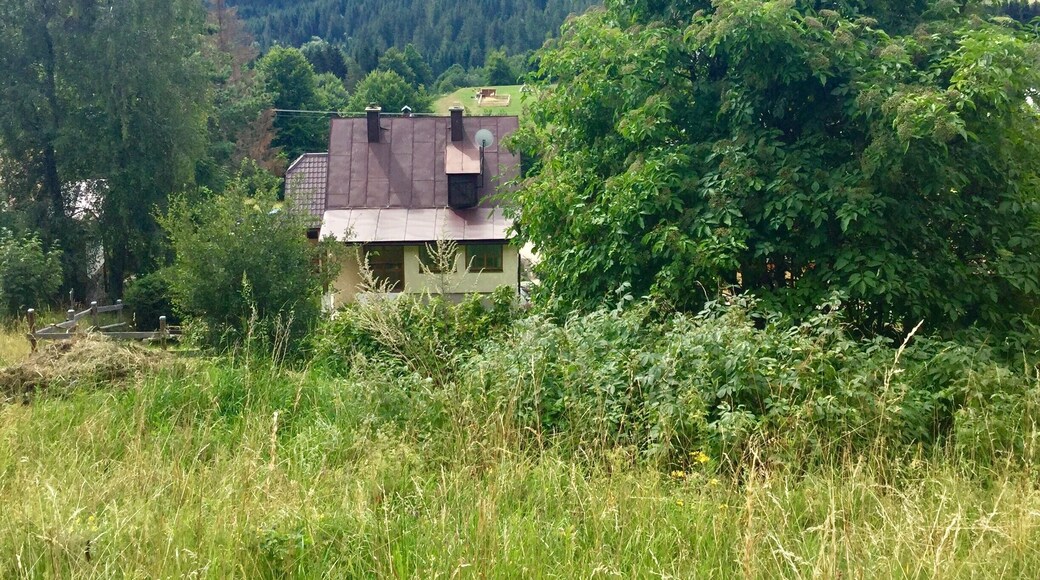 Scenic view of a wee house on the slopes of Donovaly village, central Slovakia. 2017