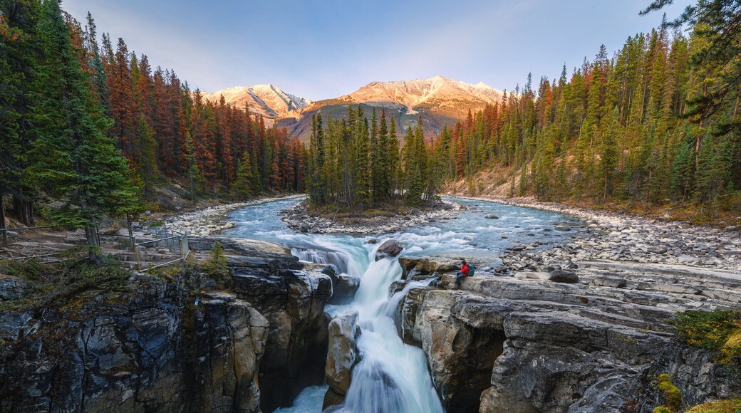 Sunwapta Falls