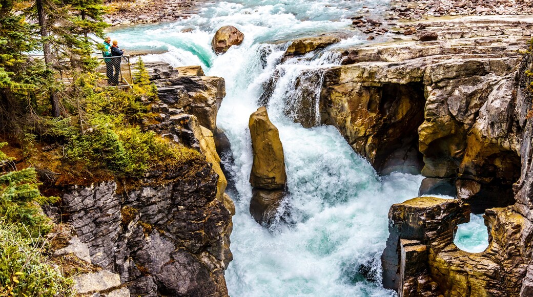 Sunwapta Falls