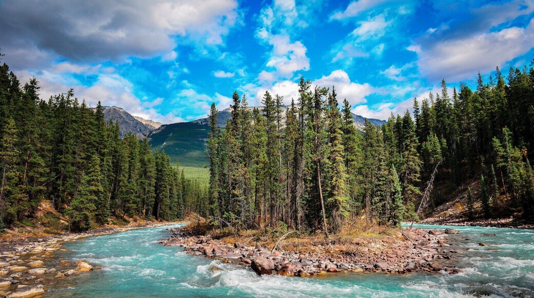 Sunwapta Falls is a pair of waterfalls of the Sunwapta River located in Jasper National Park, Alberta. The falls is accessible via a 600-metre access road off the Icefields Parkway, which connects Jasper and Banff National Parks. Wikipedia
Province: Alberta