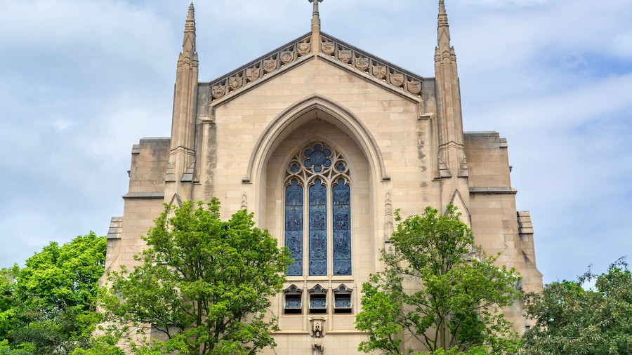 Boston University
