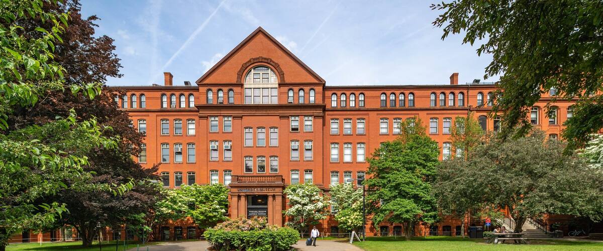 Harvard Museum of Natural History featuring a garden