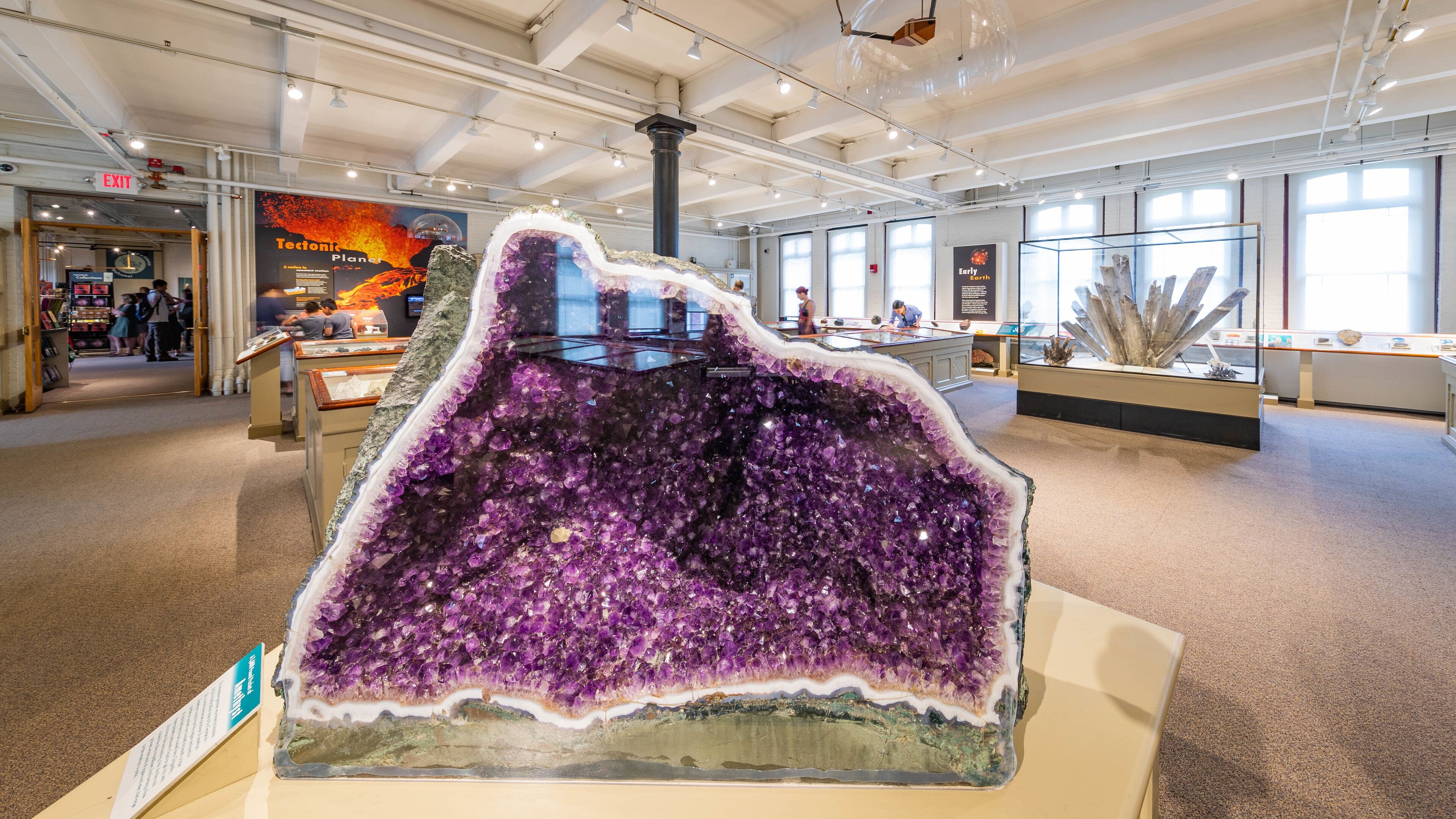 Harvard Museum of Natural History which includes interior views