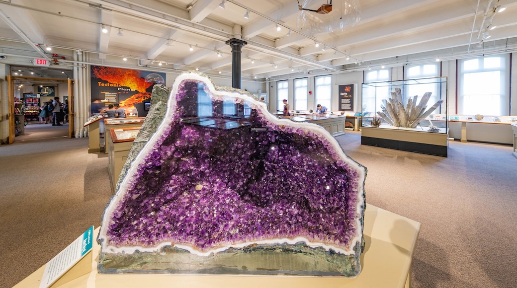 Harvard Museum of Natural History which includes interior views