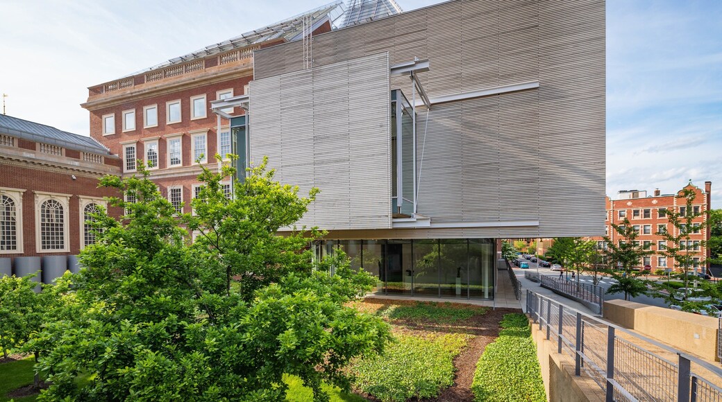 Harvard University Art Museums